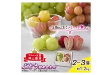 ＜産地直送＞フルーツ王国岡山シャインマスカットの娘マイハート入り!ぶどう1.2kg詰め合わせ【1647724】