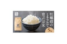 おいしいお米(5kg)無洗米　リピーター続出【1647875】