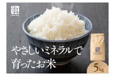 おいしいお米(5kg)無洗米　リピーター続出【1647875】