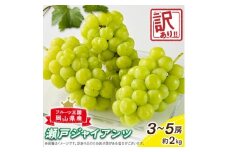 ＜訳あり＞朝採り新鮮!人気ぶどう瀬戸ジャイアンツ2kg【1647783】