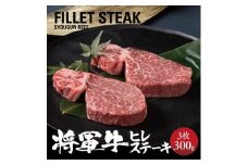＜将軍牛＞特選ヒレステーキ 300g【1653413】