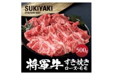 ＜将軍牛＞特選すき焼きセット ロース もも 2種類 500g【1653543】