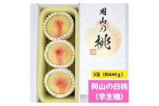 ＜2026年発送＞岡山の白桃(早生種)　大玉3玉(約840g)【1614301】