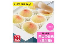 ＜2026年発送＞ご家庭用　岡山の白桃(早生種)　約1.3kg(5～6玉)【1614302】