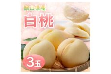 ＜2026年発送＞岡山県産白桃　3玉・約800g(クール便)【1614345】
