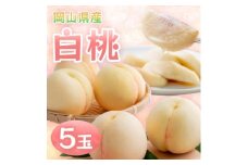 ＜2026年発送＞岡山県産白桃　5玉・約1.3kg(クール便)【1614347】