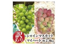＜きよとうファーム＞＜訳あり品ご家庭用＞シャインマスカット&マイハート 約2.4kg (岡山県産)【1644766】