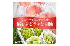 ＜発送月固定定期便＞人気果物2種類が届く 桃とシャインの満足便!(岡山県産)全2回【4071128】