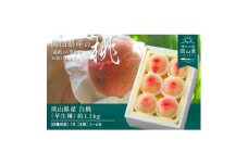 ＜2026年発送＞岡山県産　白桃(早生種)約1.3kg(5～6玉)【1614011】