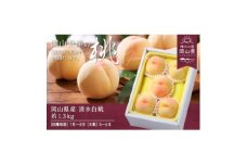 ＜2026年発送＞岡山県産　清水白桃　約1.3kg(5～6玉)【1614026】