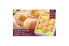 ＜2026年発送＞岡山県産　清水白桃　約2.2kg(大玉6～7玉)【1614028】