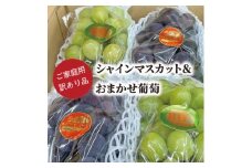 ＜きよとうファーム＞訳ありご家庭用シャインマスカット&おまかせ葡萄/計約2.4kg(岡山県産)【1602243】