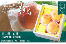 桃 2025年 先行予約 桃 早生種 約900g 3～4玉 もも モモ 岡山県産 国産 フルーツ 果物 ギフト 
