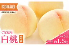 桃 2025年 先行予約 ご家庭用 白桃（晩生種）5～6玉 合計約1.5kg もも モモ 岡山県産 国産 フルーツ 果物 ギフト