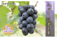 ぶどう 2025年 先行予約 ニュー ピオーネ 2房（1房約500g） ブドウ 葡萄  岡山県産 国産 フルーツ 果物 ギフト
