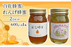 ＜ れんげ 蜂蜜 ＞と＜ 百花 蜂蜜 ＞の2点 セット はちみつ 加工食品