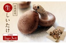 【 産地直送 】 有機JAS 生しいたけ 定期便  1kg×3ヶ月 オーガニック しいたけ きのこ 野菜 岡山県 玉野市 栽培期間中化学肥料不使用 栽培期間中農薬不使用