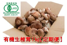 【 産地直送 】 有機JAS 生しいたけ定期便 1kg×6ヶ月 オーガニック しいたけ きのこ 野菜 岡山県 玉野市 栽培期間中化学肥料不使用 栽培期間中農薬不使用