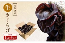 【 産地直送 】 有機JAS 生きくらげ 定期便 1kg×3ヶ月 オーガニック きくらげ きのこ 野菜 岡山県 玉野市 栽培期間中化学肥料不使用 栽培期間中農薬不使用