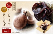 【 産地直送 】 有機JAS 生椎茸 800g ＆ 生きくらげ 200g 定期便 4ヶ月 オーガニック しいたけ 椎茸 きくらげ きのこ 野菜 岡山県 玉野市 栽培期間中化学肥料不使用 栽培期間中農薬不使用