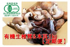 【 産地直送 】 有機JAS 生椎茸 800g ＆ 生きくらげ 200g 定期便 3ヶ月 オーガニック しいたけ 椎茸 きくらげ きのこ 野菜 岡山県 玉野市 栽培期間中化学肥料不使用 栽培期間中農薬不使用