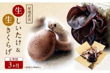 【 産地直送 】 有機JAS 生椎茸 800g ＆ 生きくらげ 200g 定期便 3ヶ月 オーガニック しいたけ 椎茸 きくらげ きのこ 野菜 岡山県 玉野市 栽培期間中化学肥料不使用 栽培期間中農薬不使用