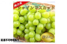 ぶどう 2025年 先行予約 シャイン マスカット 【8月中旬～順次発送分】約2kg 糖度抜群！ ブドウ 葡萄  岡山県産 国産 フルーツ 果物 ギフト