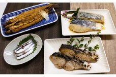 瀬戸内海産 地物 詰合せ 【配達不可：離島】 あなご 鰆 鯛 ままかり 加工食品
