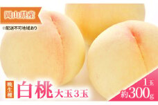 桃 2025年 先行予約 岡山の 白桃 大玉3玉（晩生種）（1玉約300g） もも モモ 岡山県産 国産 フルーツ 果物 ギフト