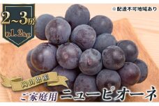 ぶどう 2025年 先行予約 ご家庭用 ニュー ピオーネ 2～3房 合計約1.2kg ブドウ 葡萄  岡山県産 国産 フルーツ 果物 ギフト