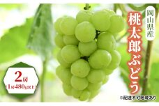 ぶどう 2025年 先行予約 桃太郎 ぶどう 2房（1房480g以上） ブドウ 葡萄  岡山県産 国産 フルーツ 果物 ギフト