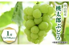 ぶどう 2025年 先行予約 桃太郎 ぶどう 1房（1房700g以上）化粧箱入り  ブドウ 葡萄  岡山県産 国産 フルーツ 果物 ギフト