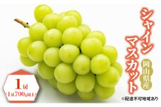 ぶどう 2025年 先行予約 シャイン マスカット 1房（1房700g以上）化粧箱入り  ブドウ 葡萄  岡山県産 国産 フルーツ 果物 ギフト