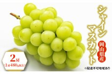 ぶどう 2025年 先行予約 シャイン マスカット 2房（1房480g以上） ブドウ 葡萄  岡山県産 国産 フルーツ 果物 ギフト