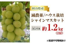 ぶどう 2025年 先行予約 シャイン マスカット 約1.2kg 2房 減農薬／ハウス栽培 ブドウ 葡萄  岡山県産 国産 フルーツ 果物 ギフト ばんの農園