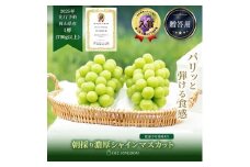 ぶどう 2025年 先行予約 シャイン マスカット 1房（700g以上）贈答クラス  ブドウ 葡萄  岡山県産 国産 フルーツ 果物 ギフト OEC KINGDOM ぶどう家