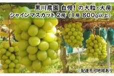 ぶどう 2025年 先行予約 黒川農園 自慢 ! の 大粒 大房 シャイン マスカット 2房 （1房 800g以上） ブドウ 葡萄  岡山県産 国産 フルーツ 果物 ギフト