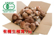 【 産地直送 】 有機JAS 生しいたけ 1kg オーガニック しいたけ きのこ 野菜 岡山県 玉野市 栽培期間中化学肥料不使用 栽培期間中農薬不使用