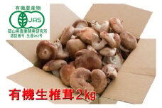 【 産地直送 】 有機JAS 生しいたけ  2kg オーガニック しいたけ きのこ 野菜 岡山県 玉野市 栽培期間中化学肥料不使用 栽培期間中農薬不使用
