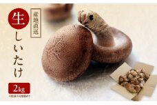 【 産地直送 】 有機JAS 生しいたけ  2kg オーガニック しいたけ きのこ 野菜 岡山県 玉野市 栽培期間中化学肥料不使用 栽培期間中農薬不使用