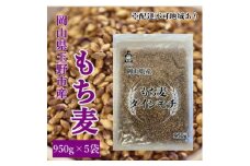 お米 もち麦 米 【通年出荷】岡山県玉野市産 もち麦 ダイシモチ 950g×5袋