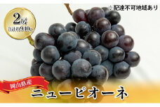 ぶどう 2024年 先行予約 ニュー ピオーネ 2房（合計約940g）化粧箱入り ブドウ 葡萄  岡山県産 国産 フルーツ 果物 ギフト 