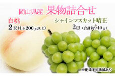桃 ぶどう 2024年 先行予約 果物詰合せ 白桃 2玉（1玉200g以上） シャイン マスカット 晴王 2房（合計約940g）化粧箱入り 岡山県産 国産 フルーツ ギフト