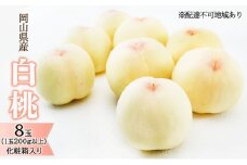 桃 2026年 先行予約 白桃 8玉（1玉200g以上）化粧箱入り もも モモ 岡山県産 国産 フルーツ 果物 ギフト 