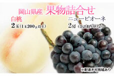 桃 ぶどう 2026年 先行予約 果物詰合せ 白桃 2玉（1玉200g以上） ニュー ピオーネ 2房（合計約940g）化粧箱入り 岡山県産 国産 フルーツ ギフト  もも セット 