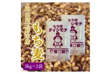 お米 もち麦 米 岡山県玉野市産 もち麦 ダイシモチ 10kg (5kg×2袋)