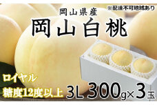 桃 2026年 先行予約 岡山 白桃 ロイヤル 3玉×約300g（3Lサイズ） JA おかやま のもも（早生種・中生種） もも モモ 岡山県産 国産 フルーツ 果物 ギフト 甘い 美味しい 産地直送 贈り物 高糖度 