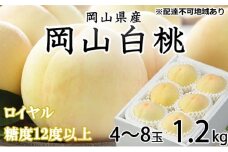 桃 2025年 先行予約 岡山 白桃 ロイヤル 4～8玉 約1.2kg JA おかやま のもも（早生種・中生種） もも モモ 岡山県産 国産 フルーツ 果物 ギフト