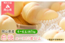 桃 2025年 先行予約 岡山 白桃 エース 4～6玉 約1kg JA おかやま のもも（早生種・中生種） もも モモ 岡山県産 国産 フルーツ 果物 ギフト