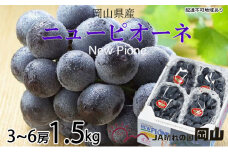 ぶどう 2025年 先行予約 ニュー ピオーネ 3房～6房 約1.5kg ブドウ 葡萄  岡山県産 国産 フルーツ 果物 ギフト